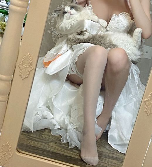 久久久综综合色一本伊人_超清免费全集观看